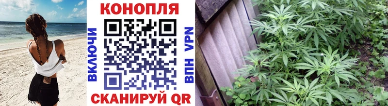 Магазин наркотиков Михайловск Героин  Alpha-PVP  Амфетамин  Мефедрон  Кодеин  ГАШИШ 
