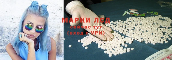 стафф Аркадак