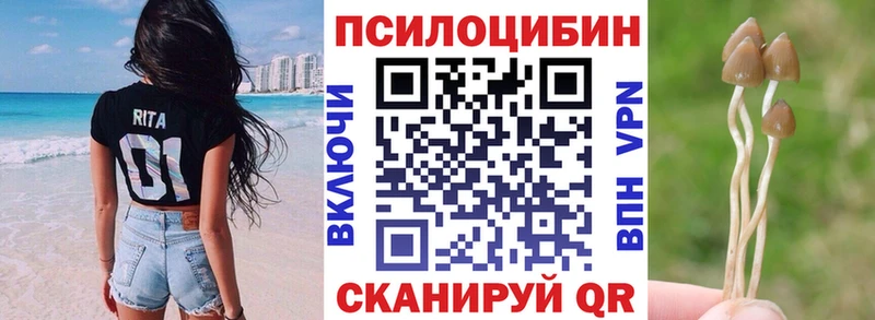 Псилоцибиновые грибы Psilocybine cubensis  МЕГА   Михайловск  где найти  